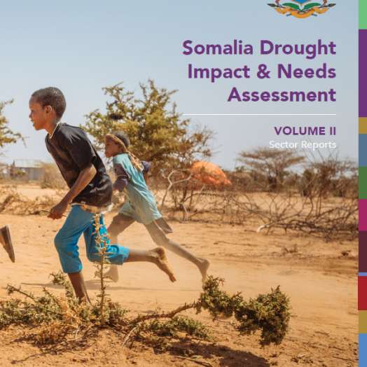 Somalia | GFDRR